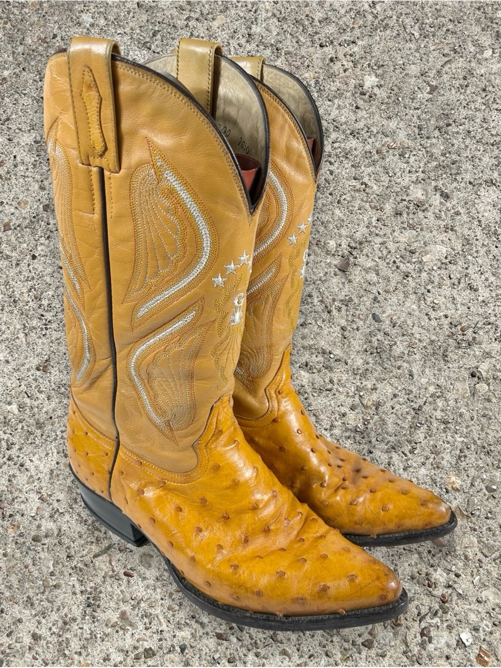 EL GENERAL Y2K pointed toe ostrich skin western boots